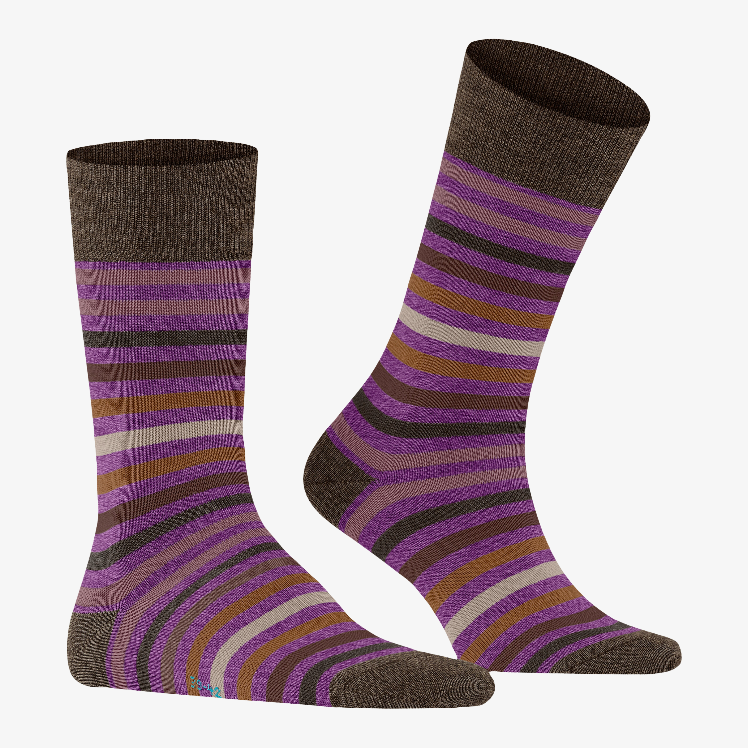 Falke Tinted Stripe Socks - Purple