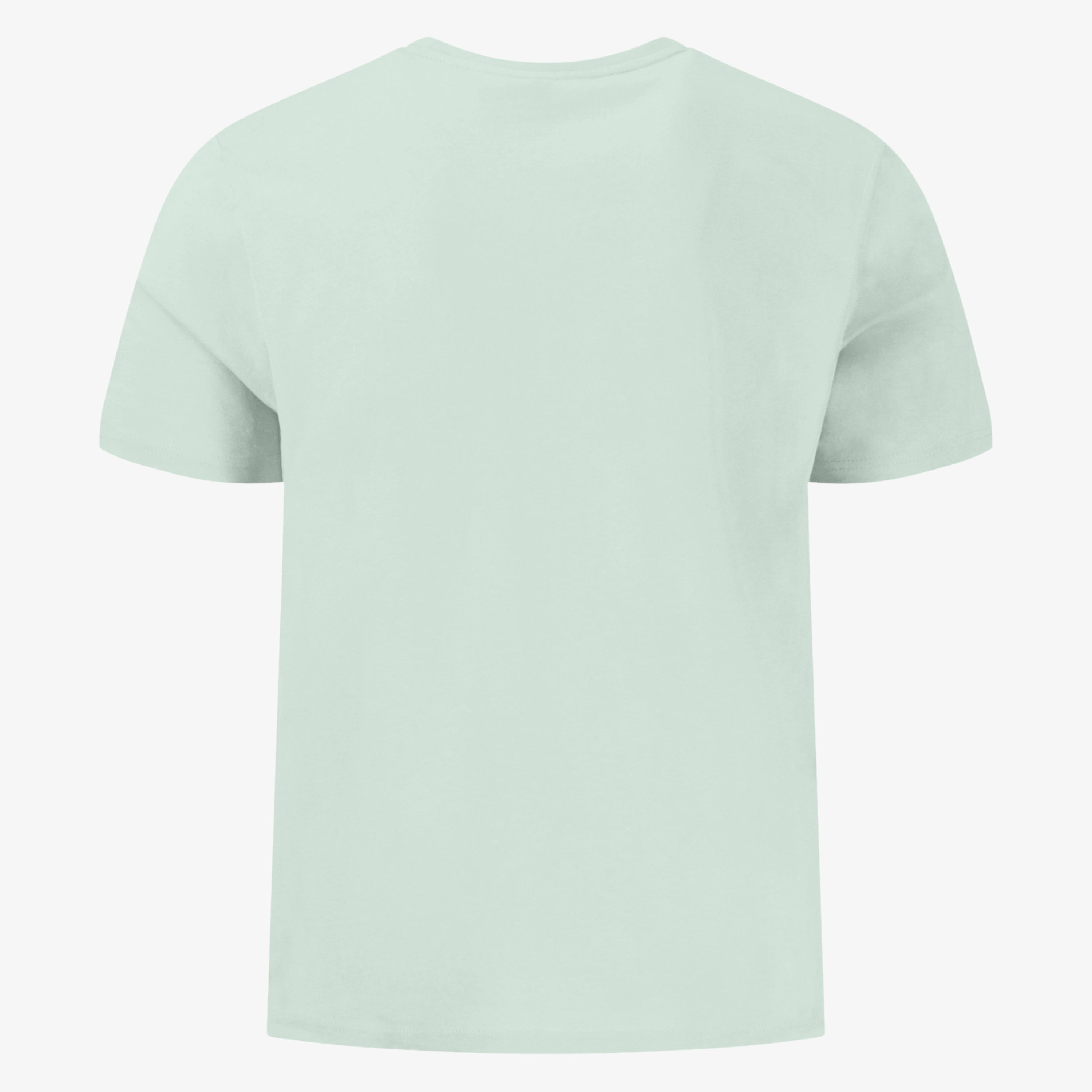 Fynch-Hatton Crew Neck T Shirt - Mint