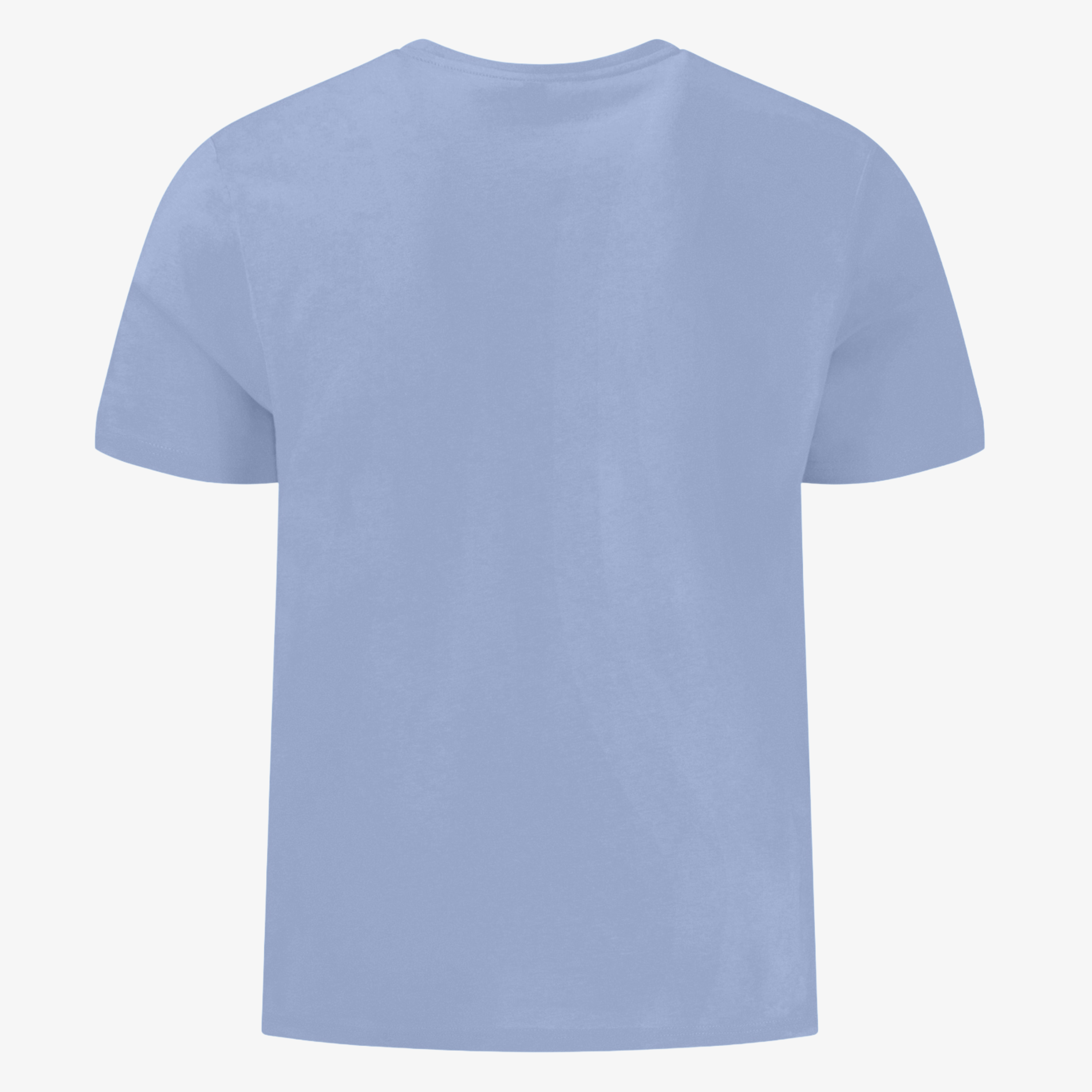 Fynch-Hatton Crew Neck T Shirt - New Breeze