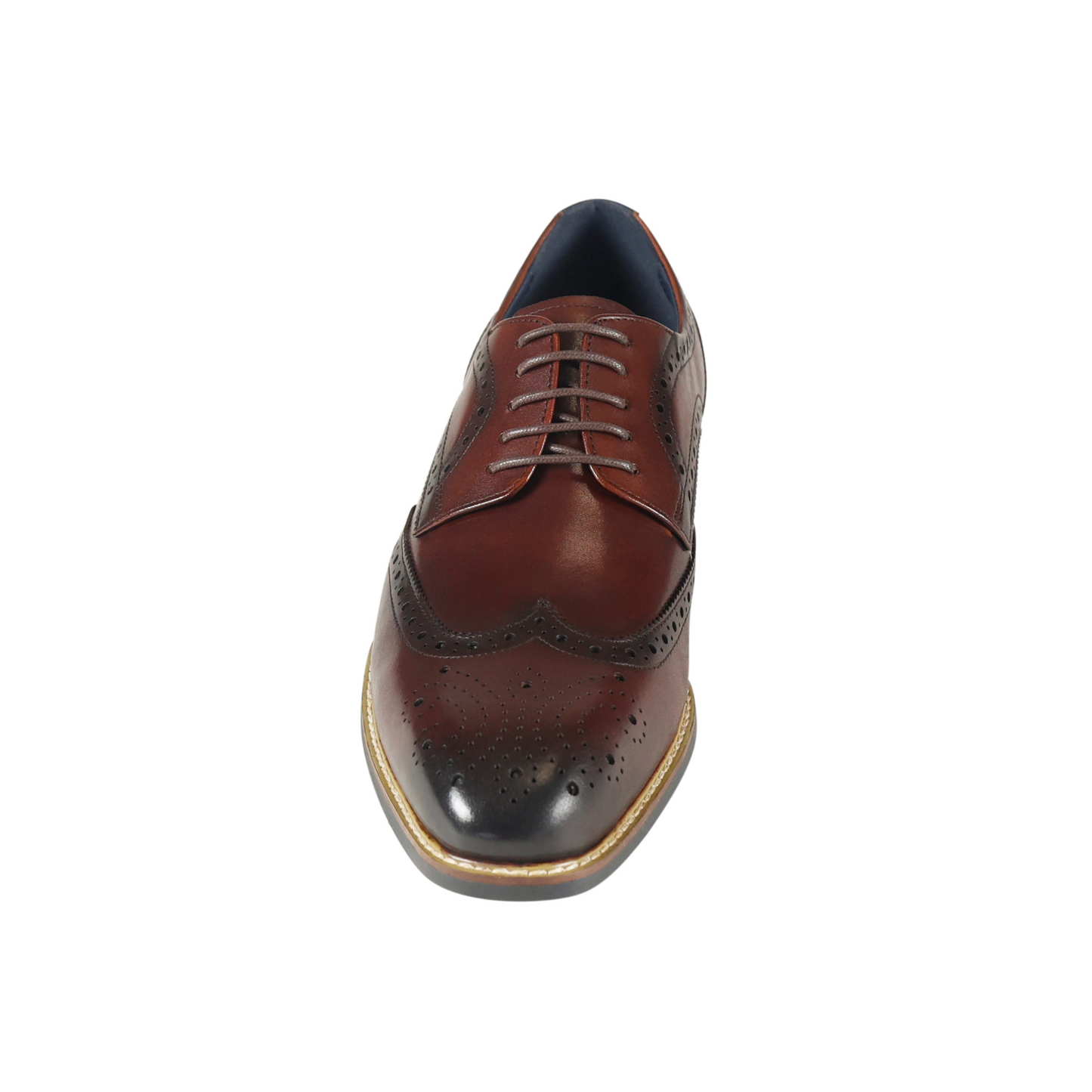 Azor La Mode Venezia Shoes - Brown