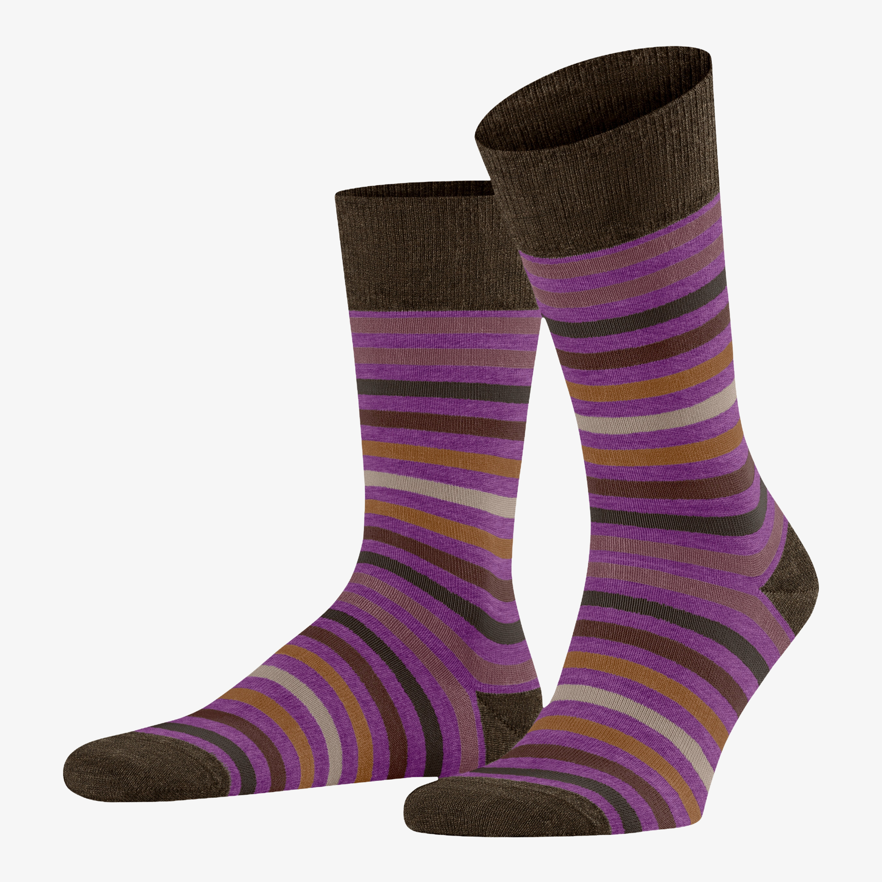 Falke Tinted Stripe Socks - Purple