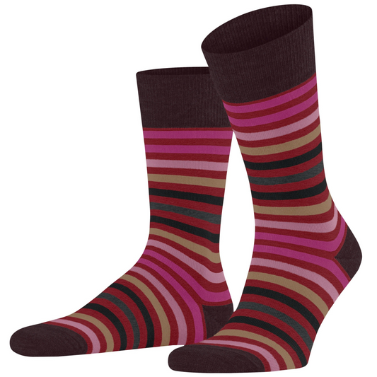 Falke Tinted Stripe Socks - Wine