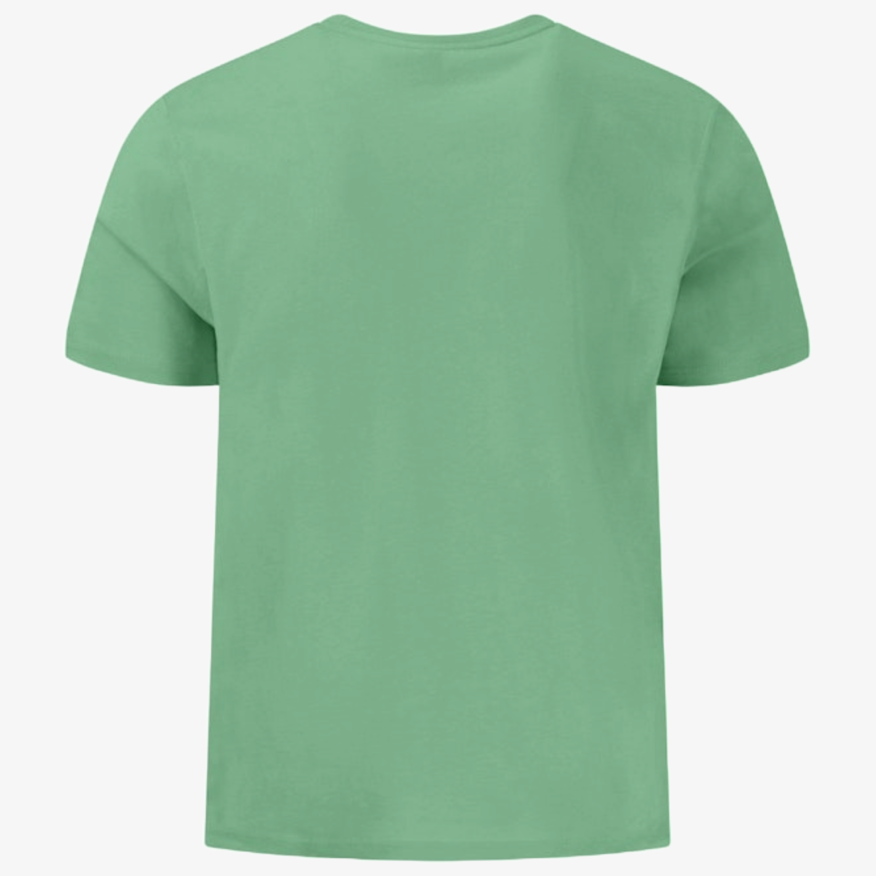 Fynch-Hatton Crew Neck T Shirt - Turf Green