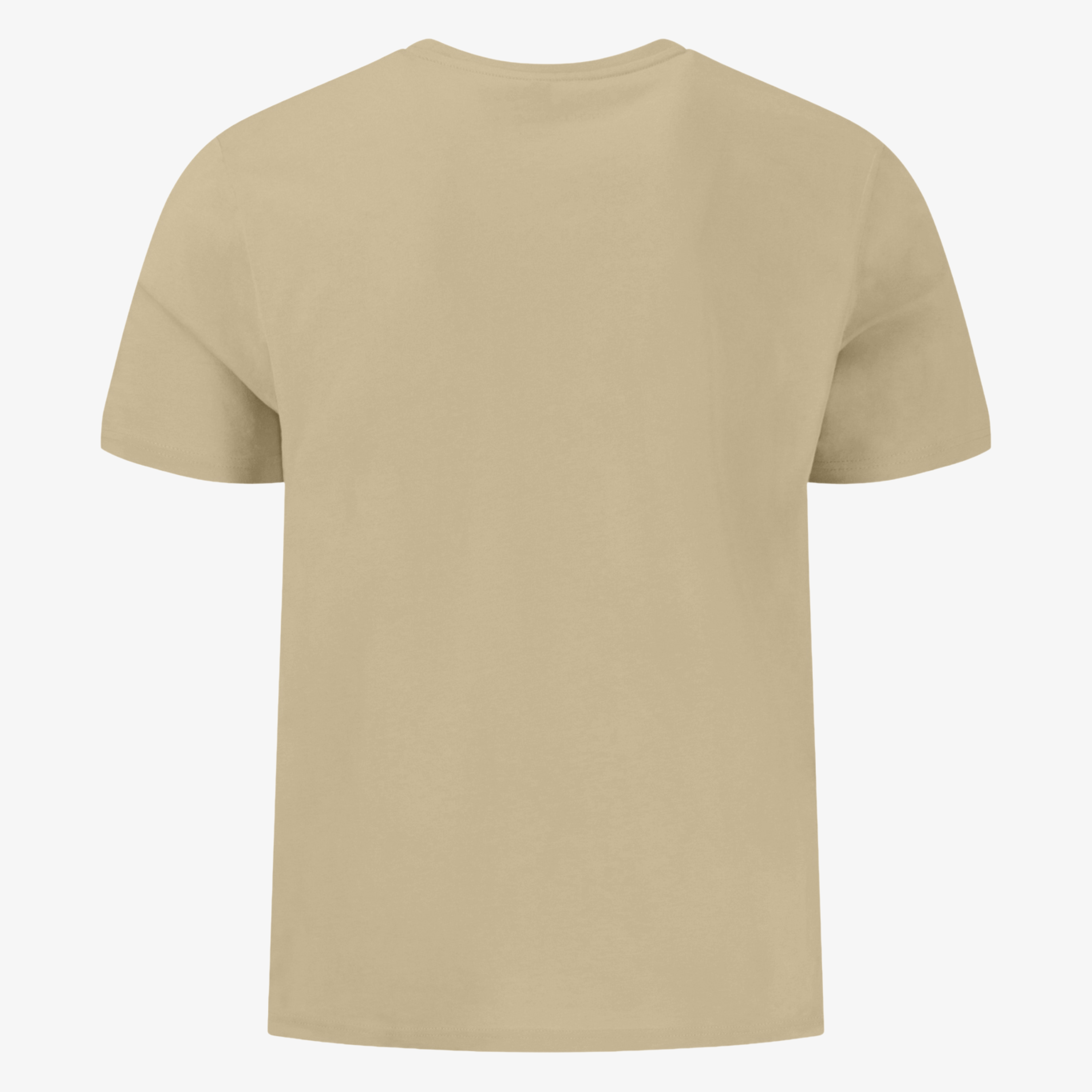 Fynch-Hatton Crew Neck T Shirt - Pistachio