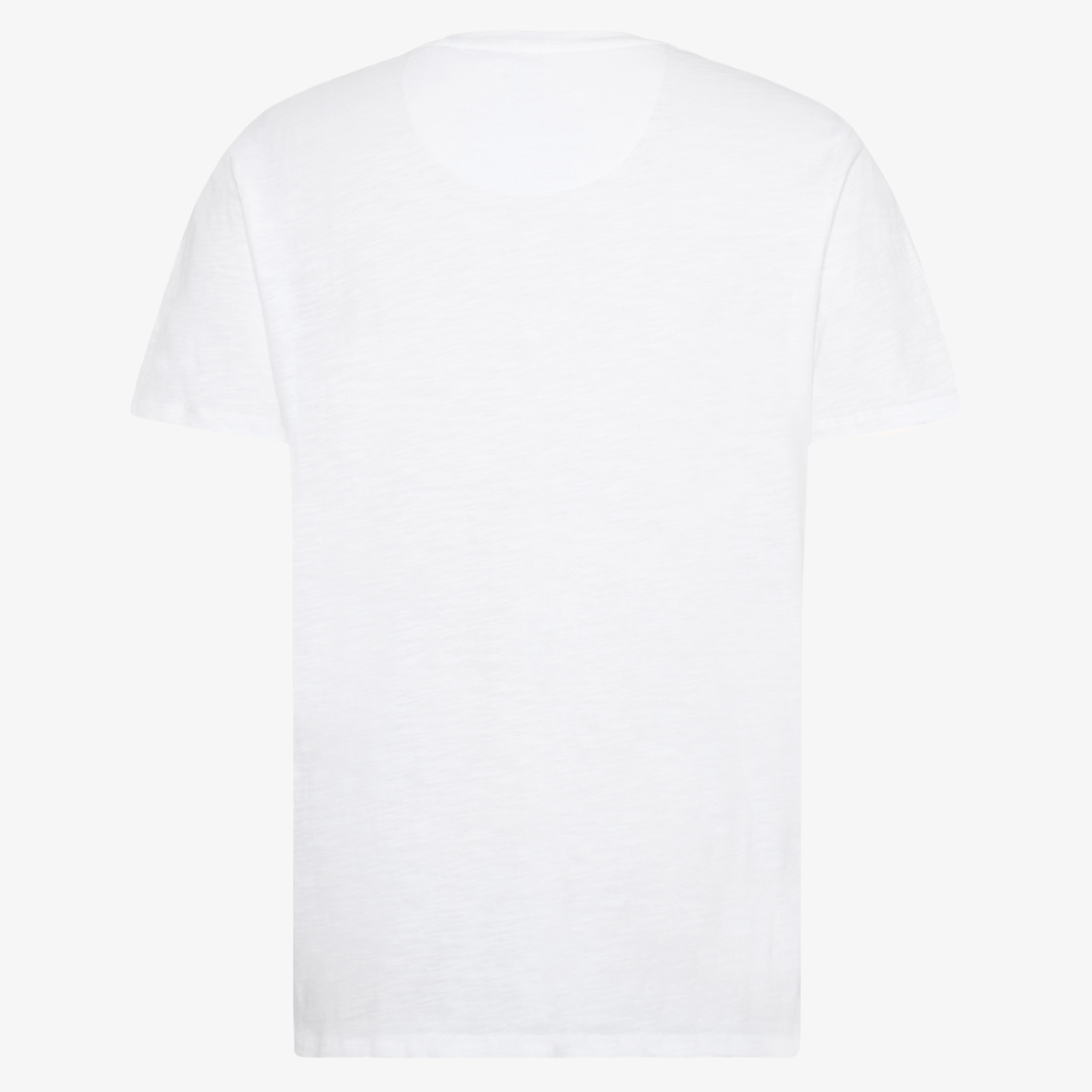 A Fish Named Fred Vase T Shirt - Off White