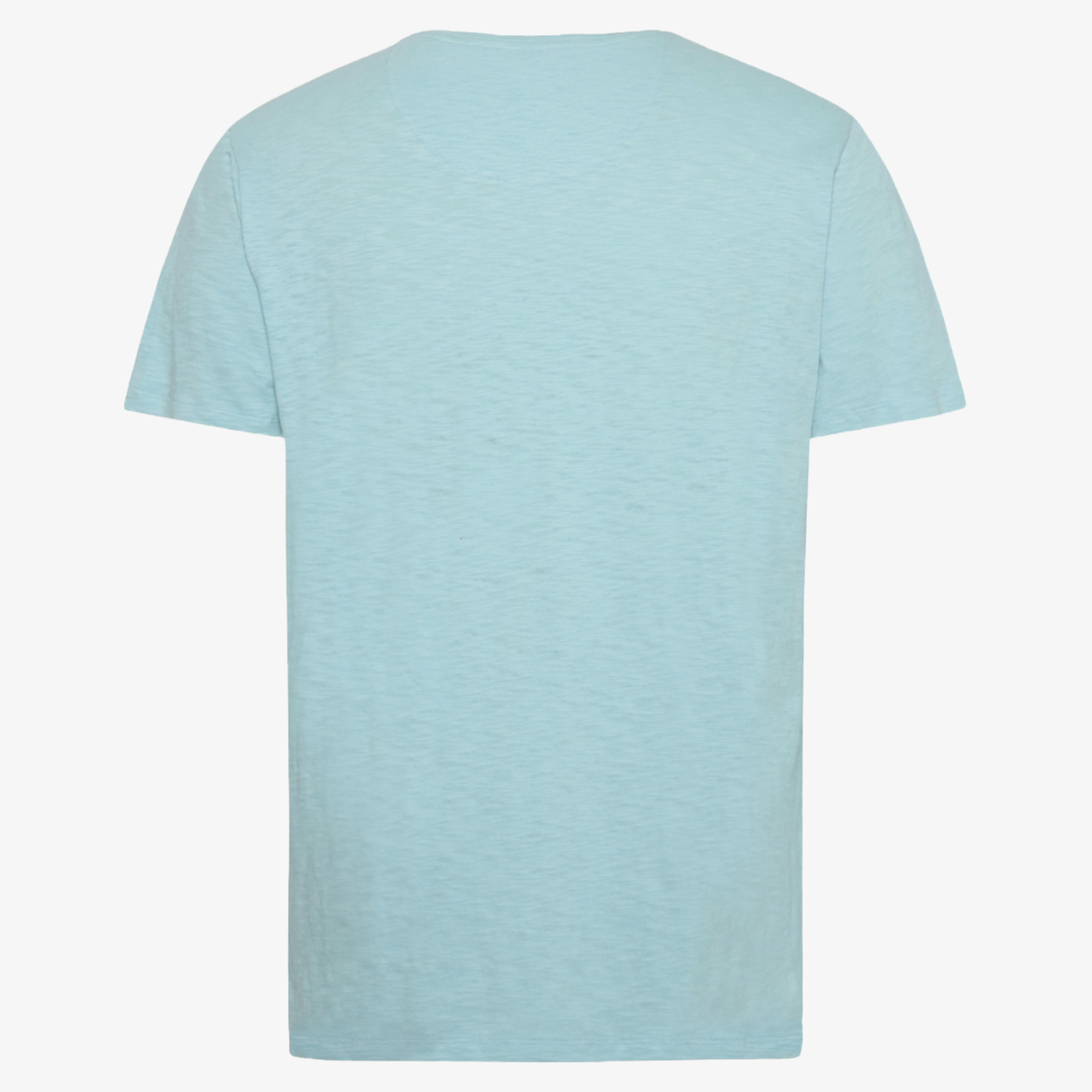 A Fish Named Fred Vase T Shirt - Light Blue