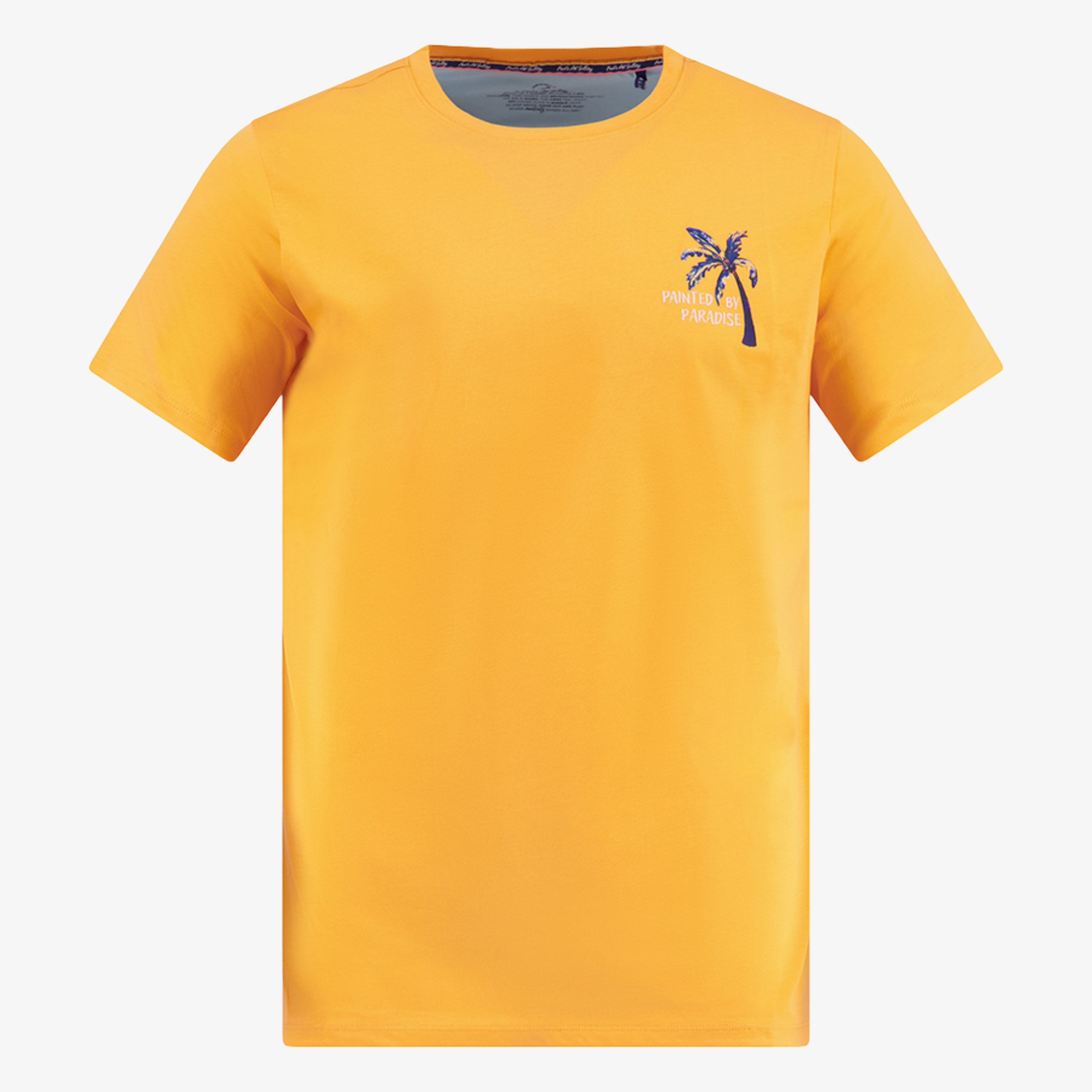 A Fish Named Fred Print T Shirt - Peach