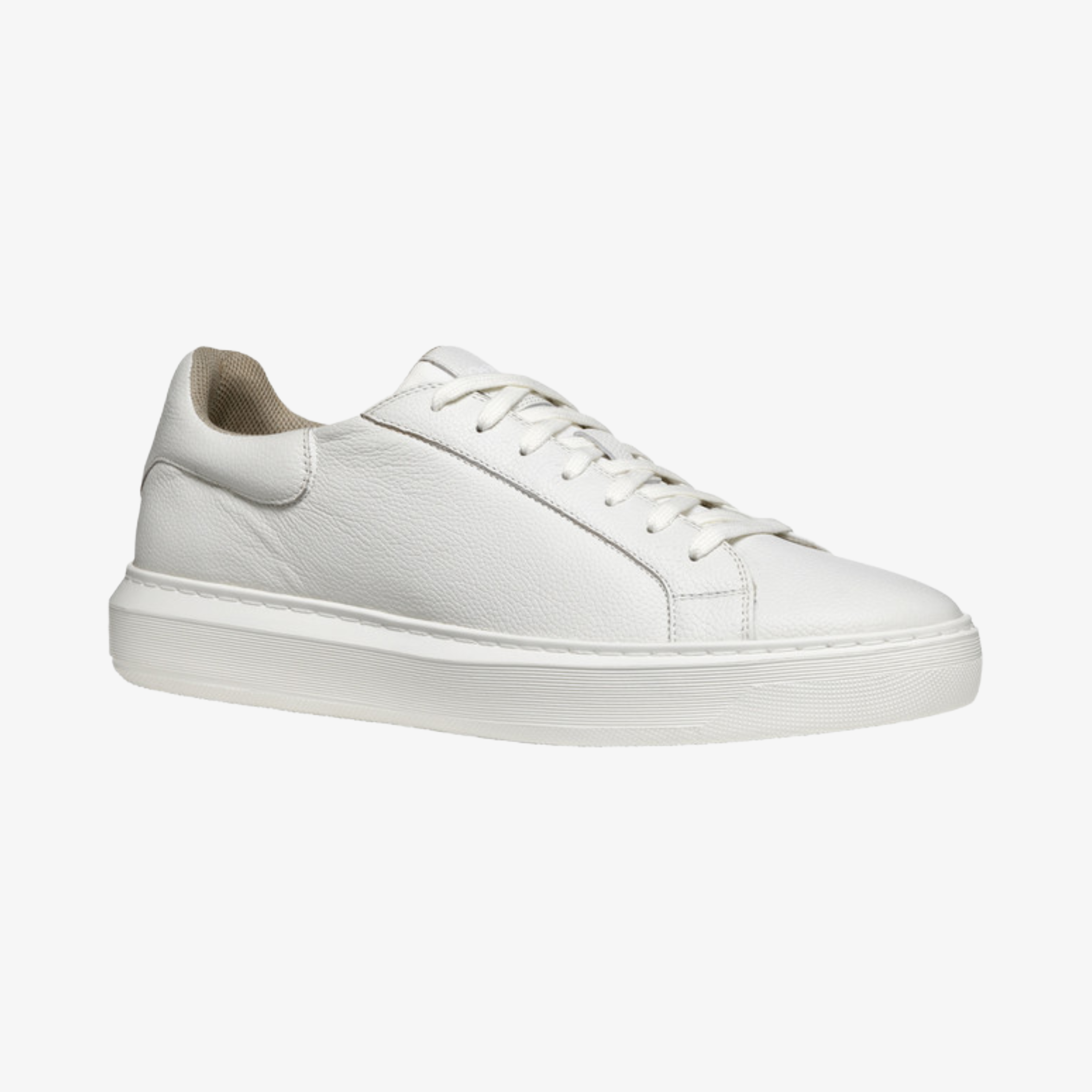 Geox Deive Trainers - White