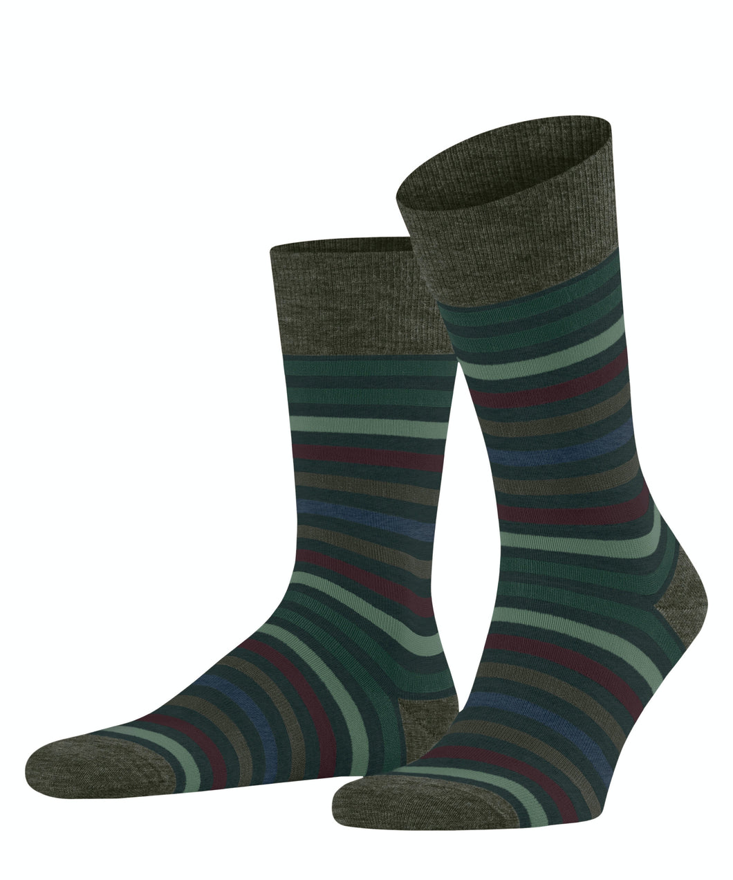 FALKE Tinted Stripe Socks in Forrest Green