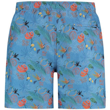 Load image into Gallery viewer, A Fish Named Fred Hummingbird Print Swim Shorts - Sky Blue
