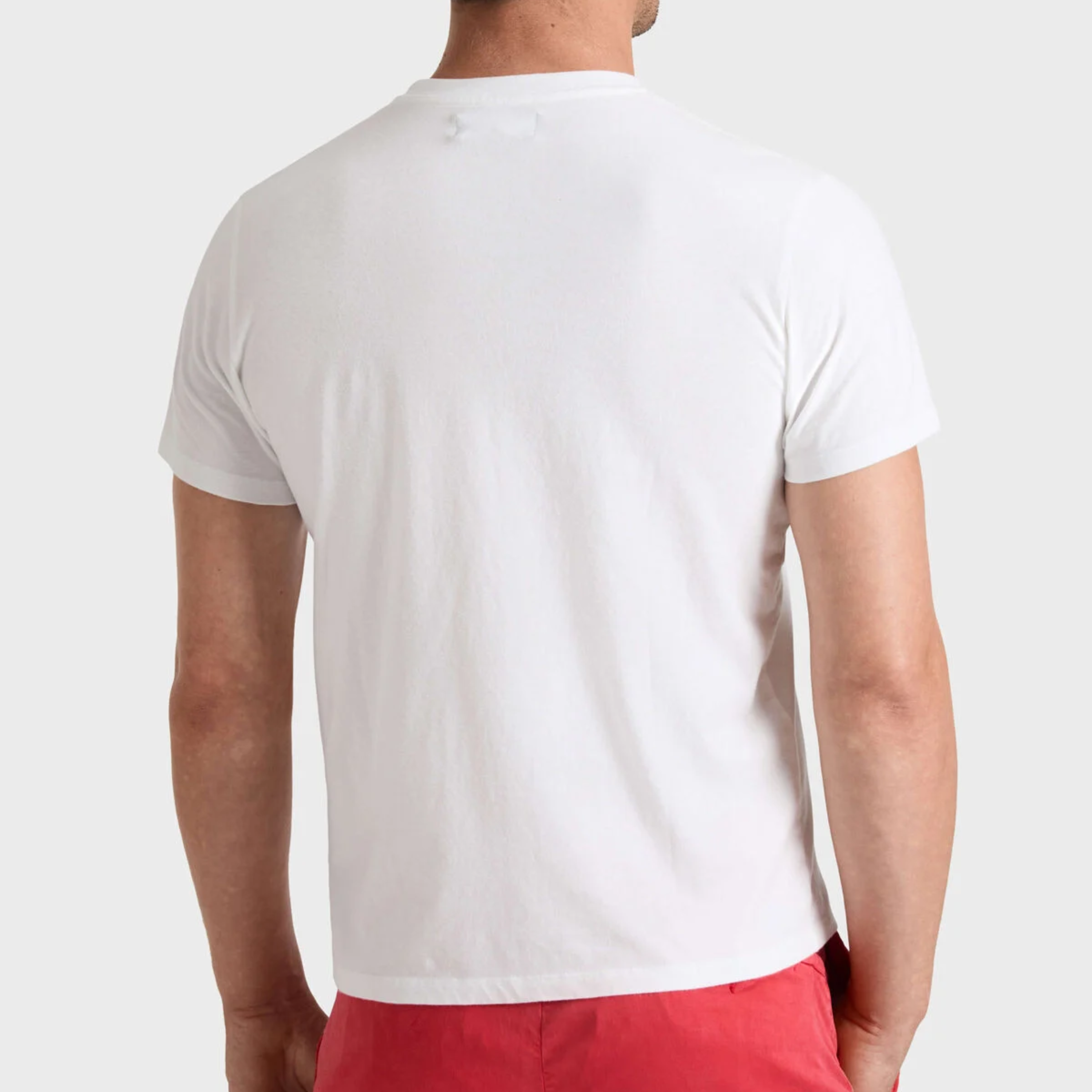 Vilebrequin Cotton T Shirt With Embroidered Turtle - White