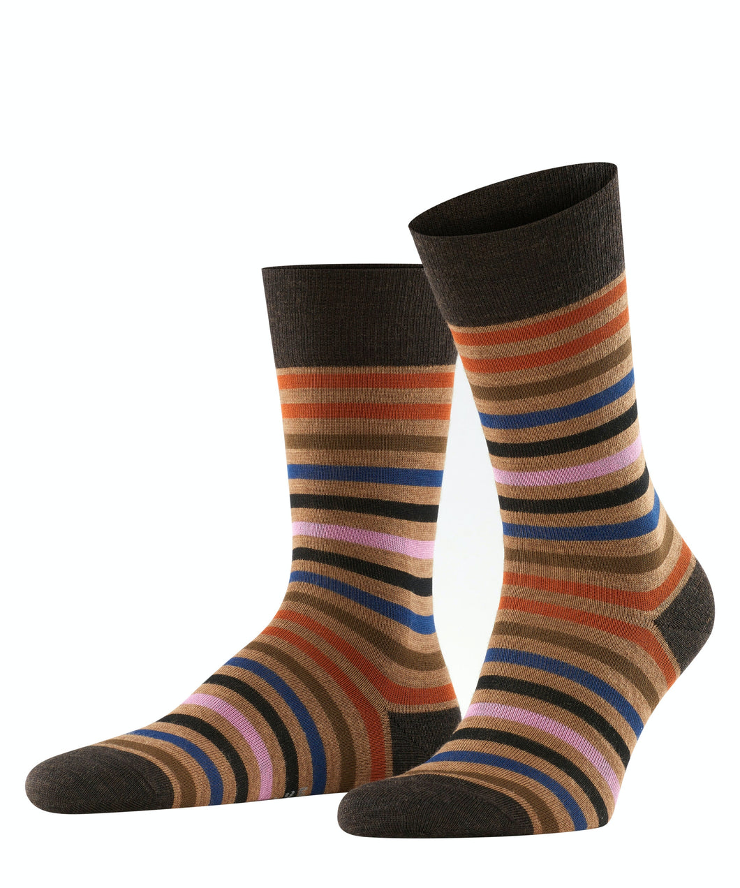 FALKE Tinted Stripe Socks in Dark Brown
